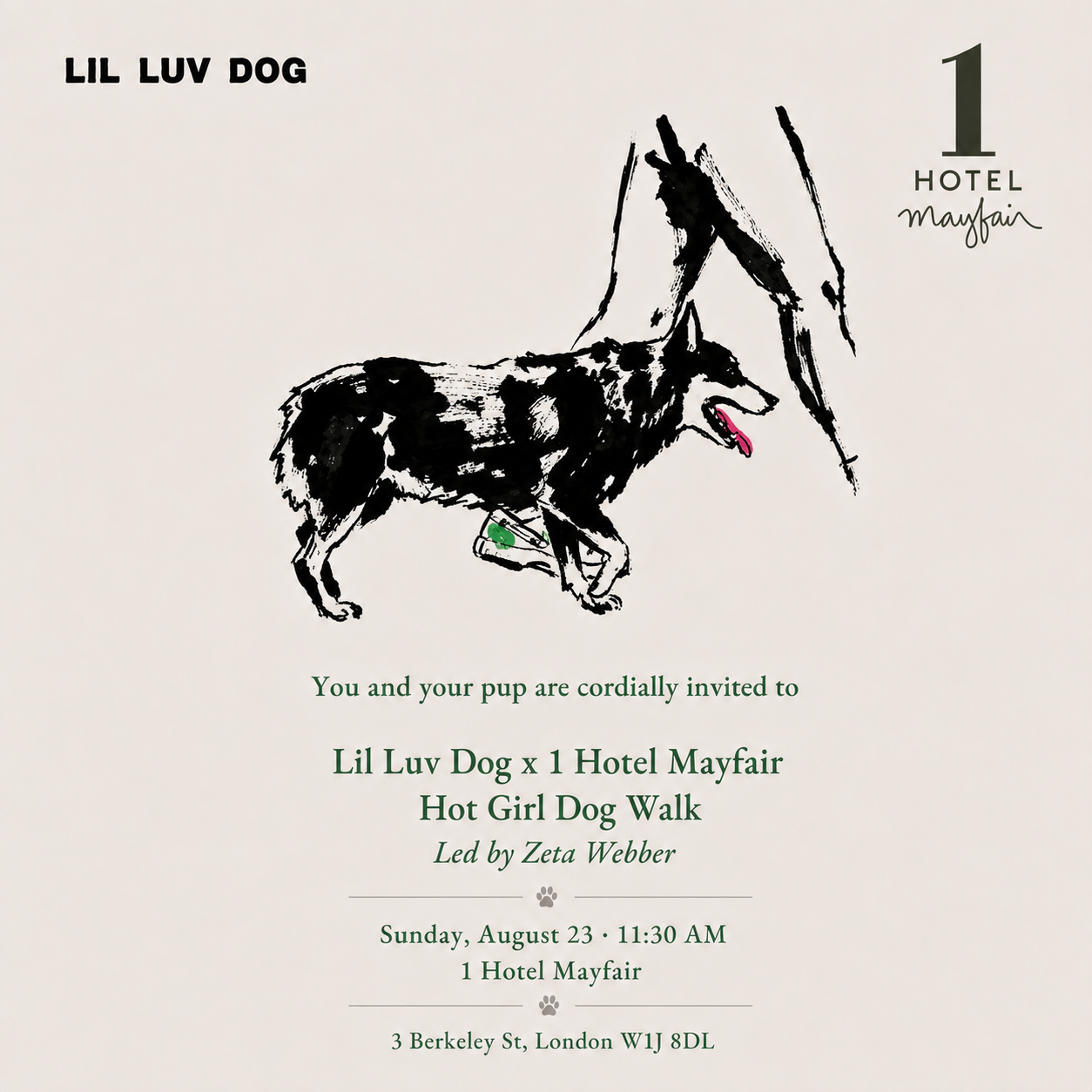 LIL LUV DOG X 1 HOTEL MAYFAIR HOT GIRL DOG WALK