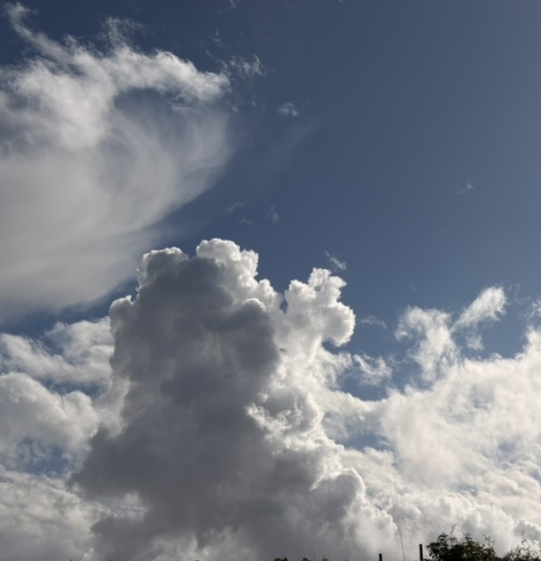 Cover art for #WEATHER/WILDERNESS Writing Workshop — Local Economy