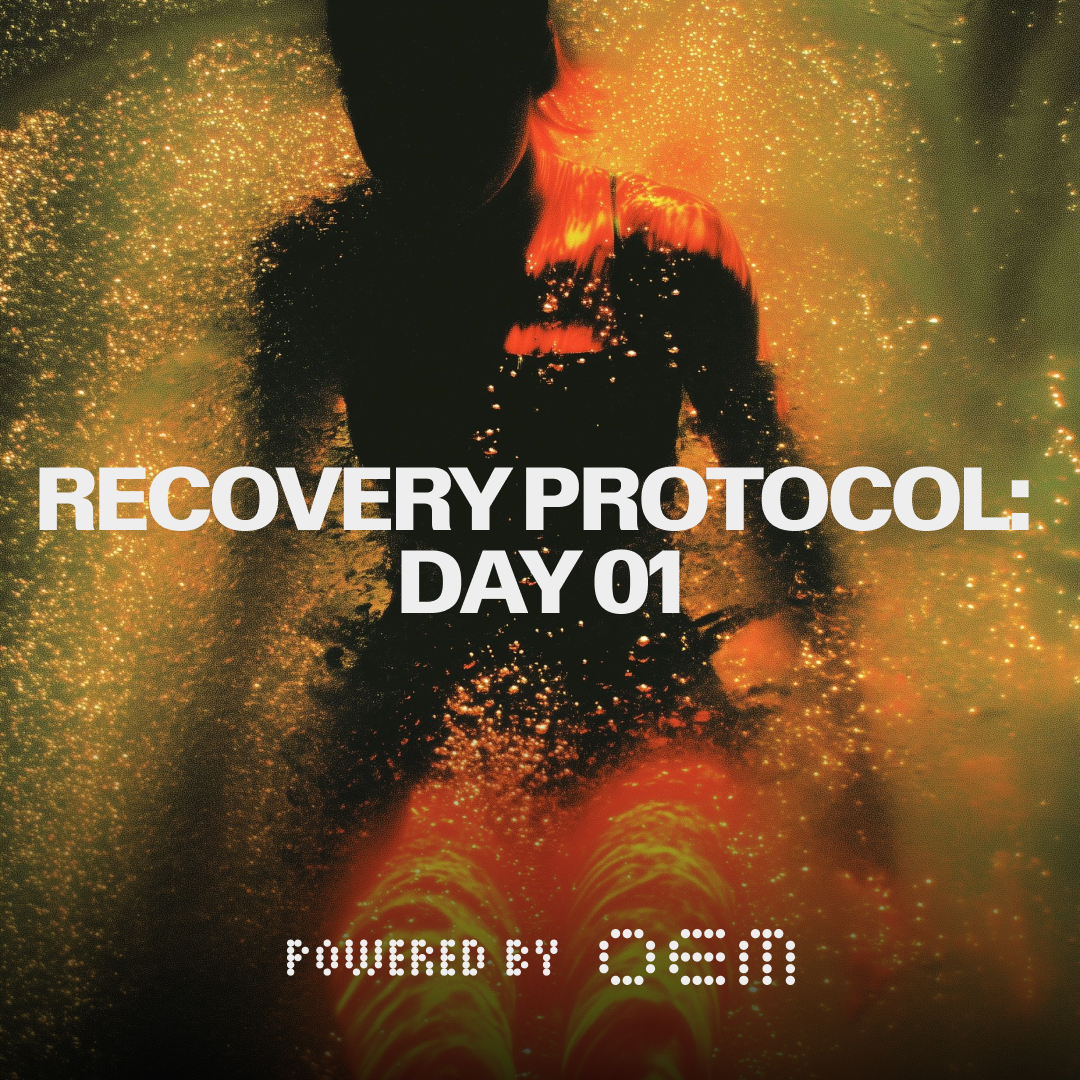 Recovery Protocol 01 (Powered by SYNC + OEM)