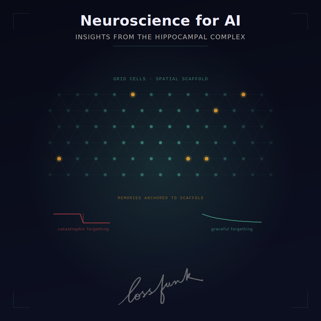 Neurosciences pour l'IA : Perspectives du complexe hippocampique