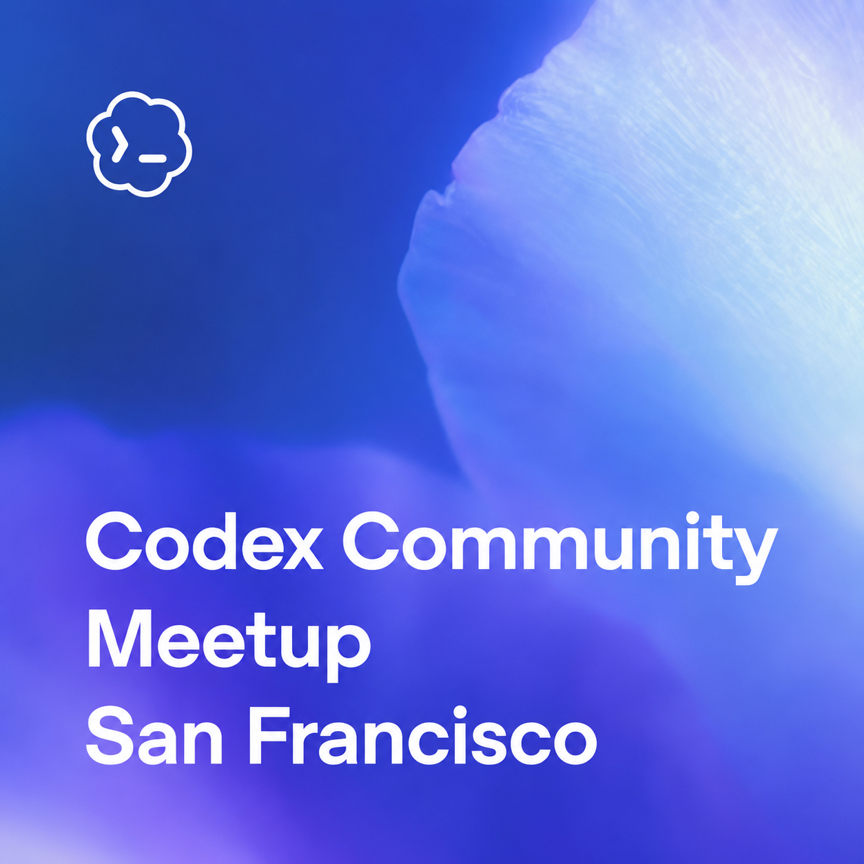 Codex Community Meetup