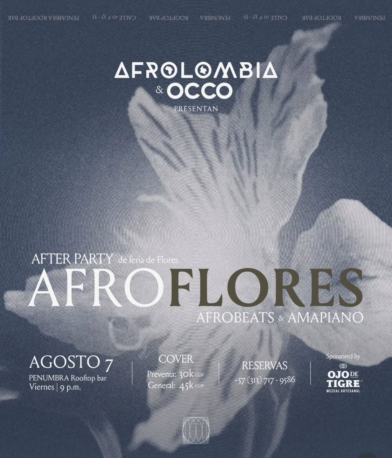 🌺 AFROFLORES: Feria After Dark