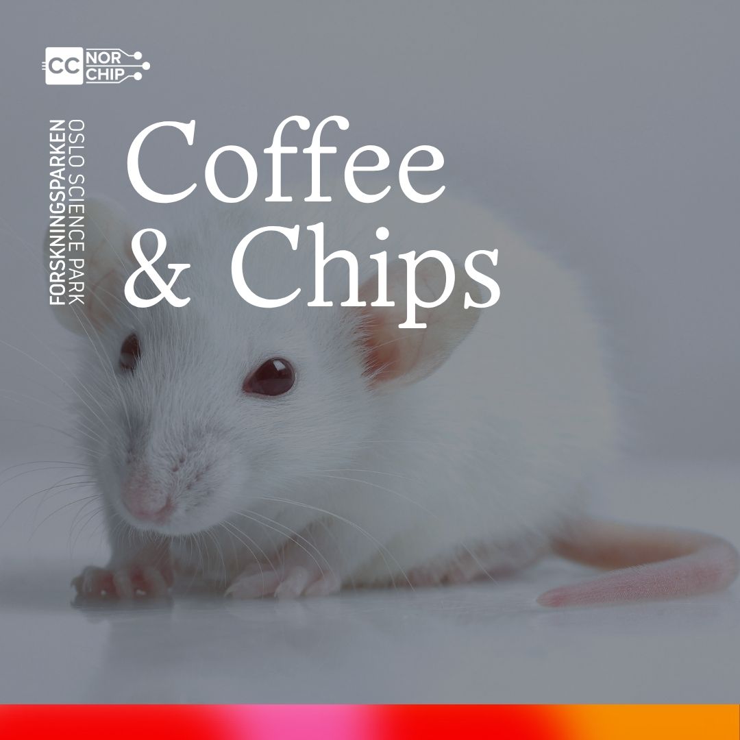 Кофе и чипсы: BrainChip - Нейротехнологии для декодирования и манипуляции сном в реальном времени