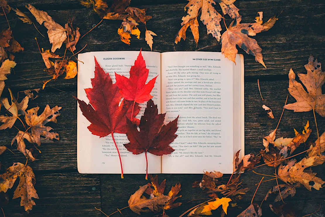 🍂Offline Women Press Leaves
