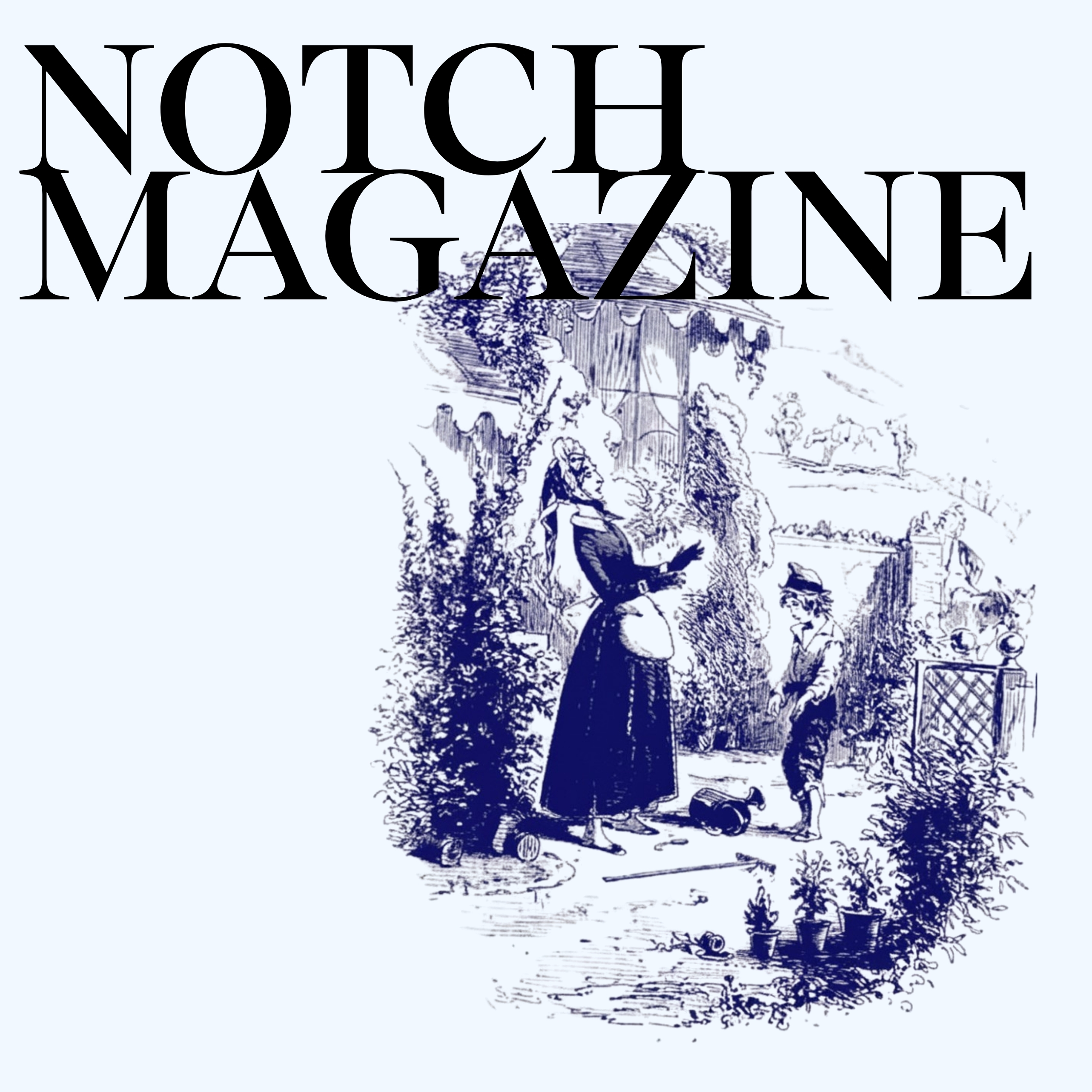 NOTCH AT BETSEY TROTWOOD