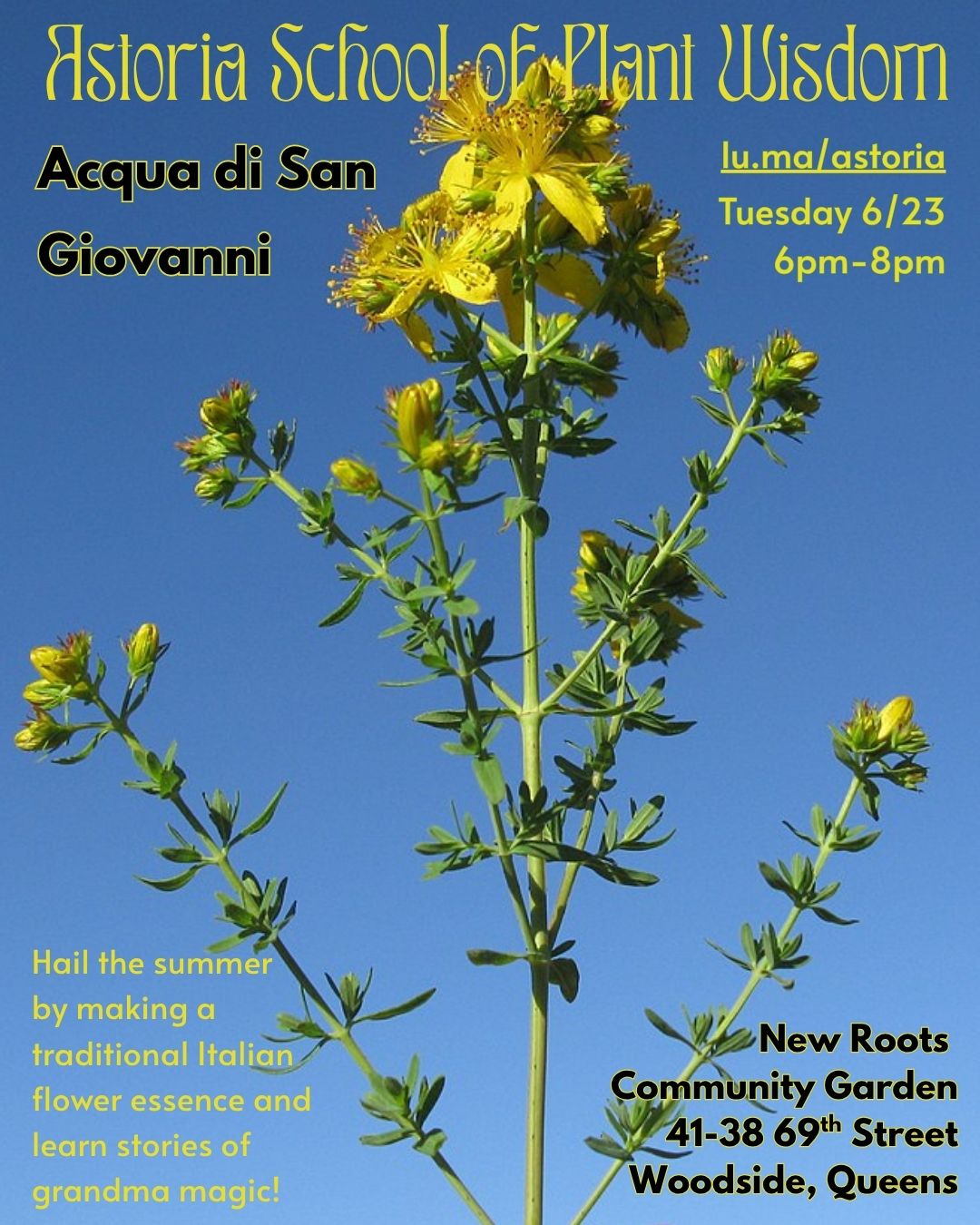 Cover art for #Acqua di San Giovanni // Saint John's Water // Solstice Magic — New Roots Community Garden