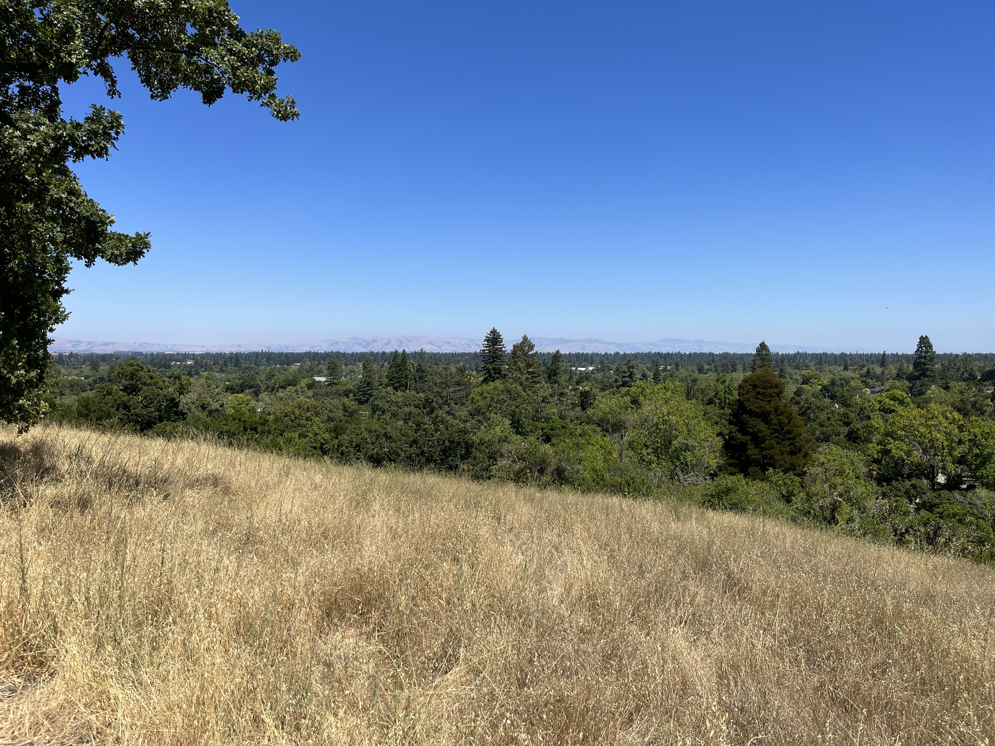 Cover art for #Bay Area Canadians June 2026 Hike — Stulsaft Playground