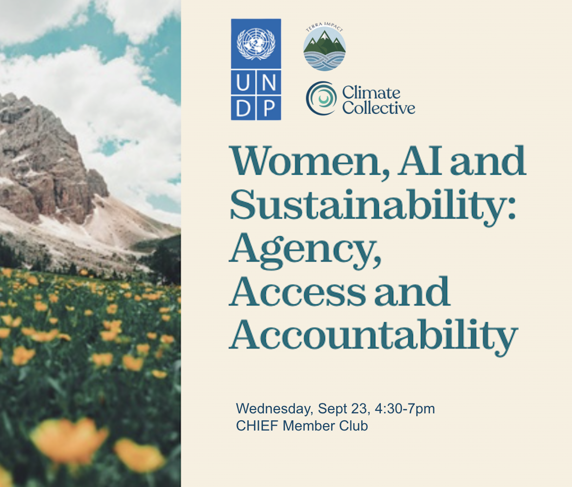 Women, AI and Sustainability: Agency, Access and Accountability