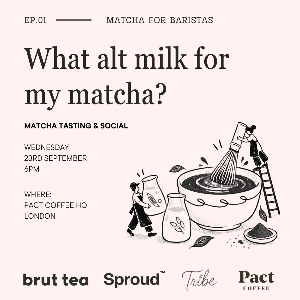 Ep.01 Matcha for Baristas: What alt milk for my matcha?