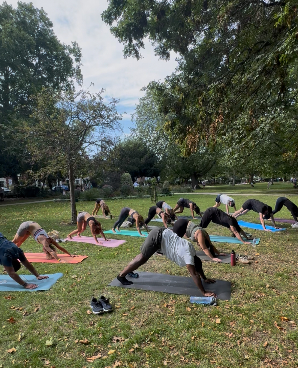 Yoga In The Park & Picnic