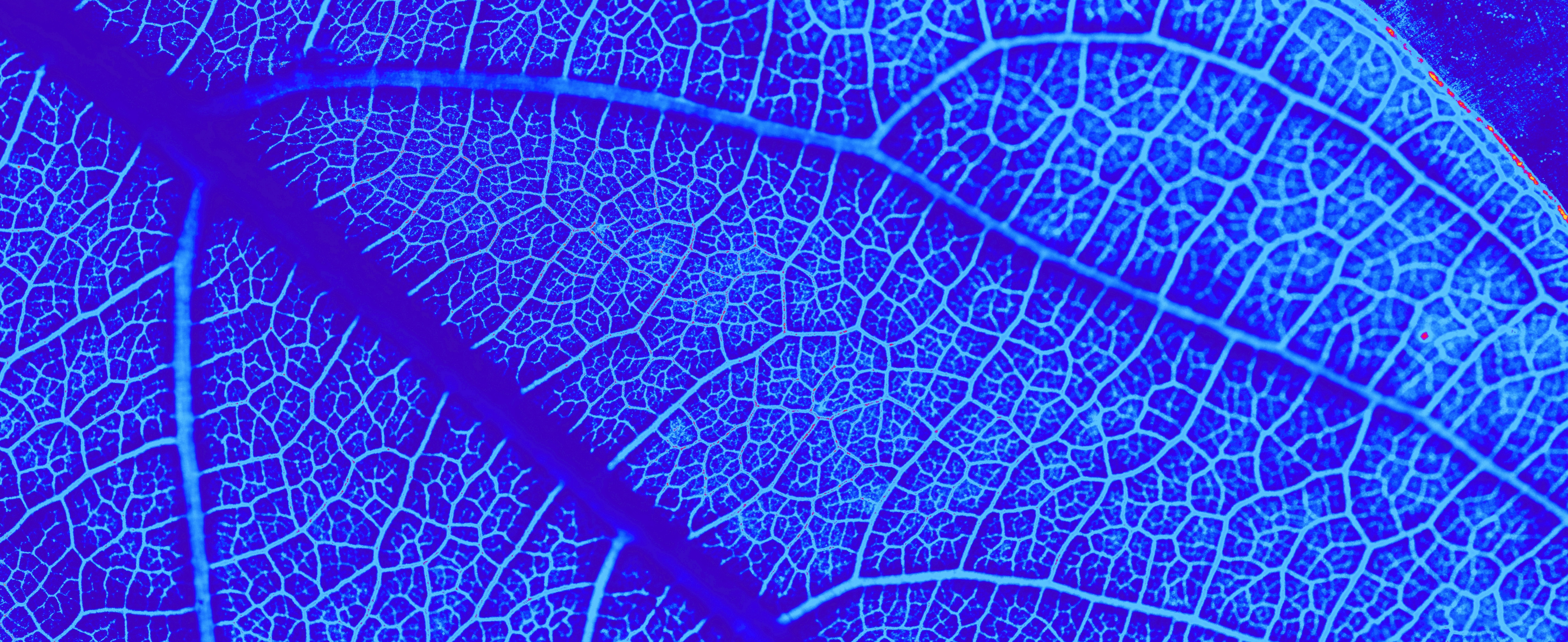 Sustainable Biotech Hubs