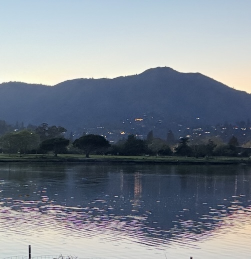 Cover art for #June - Founders Walking Meeting - Mill Valley — Piatti