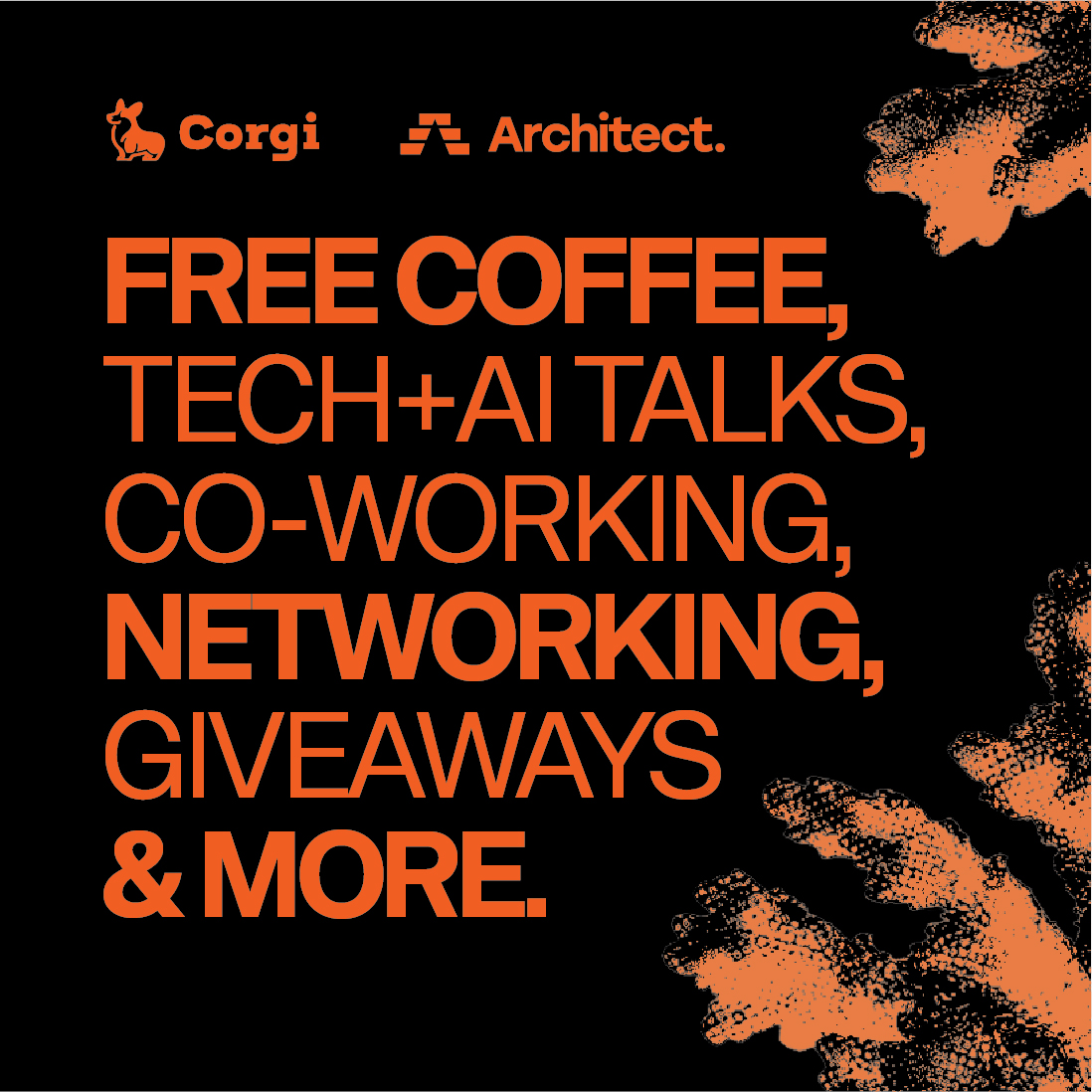 Architect x Corgi Cafe - Saturday Open House