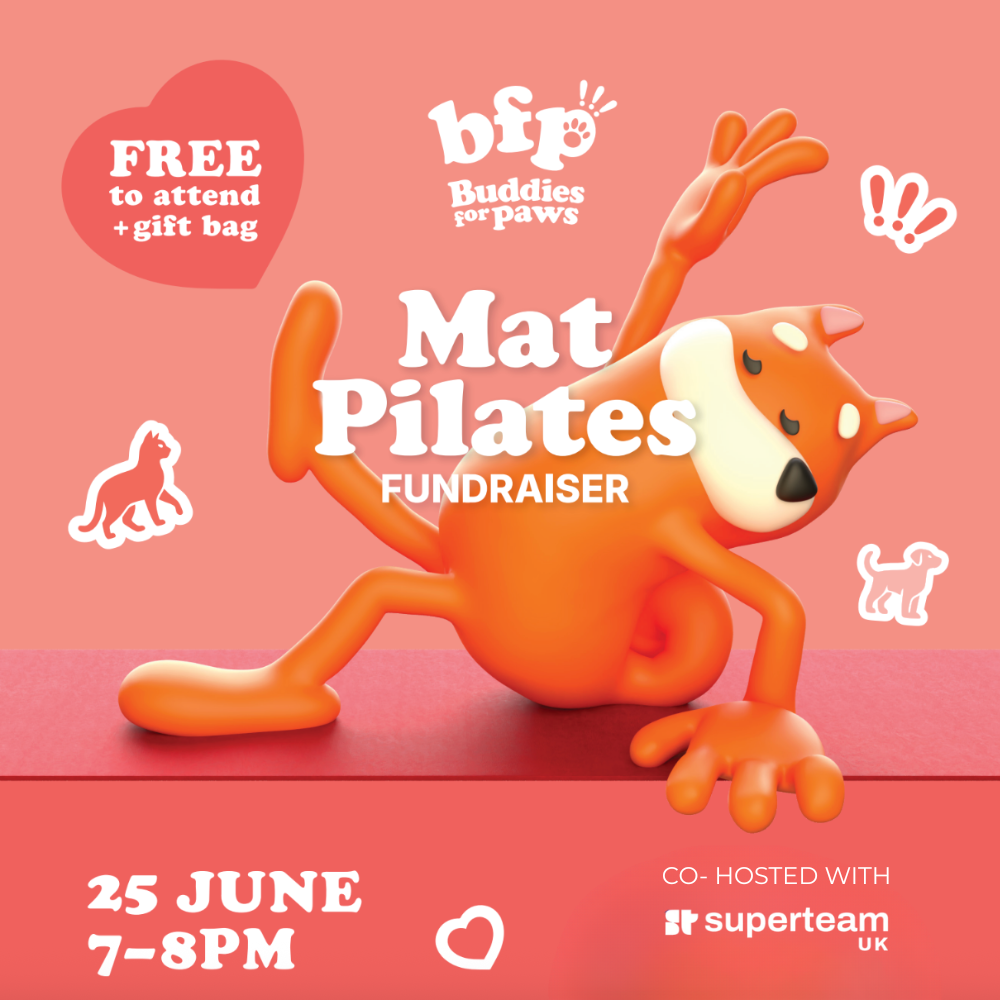 Cover art for #Buddies for Paws Free Pilates Class — The Studio Space