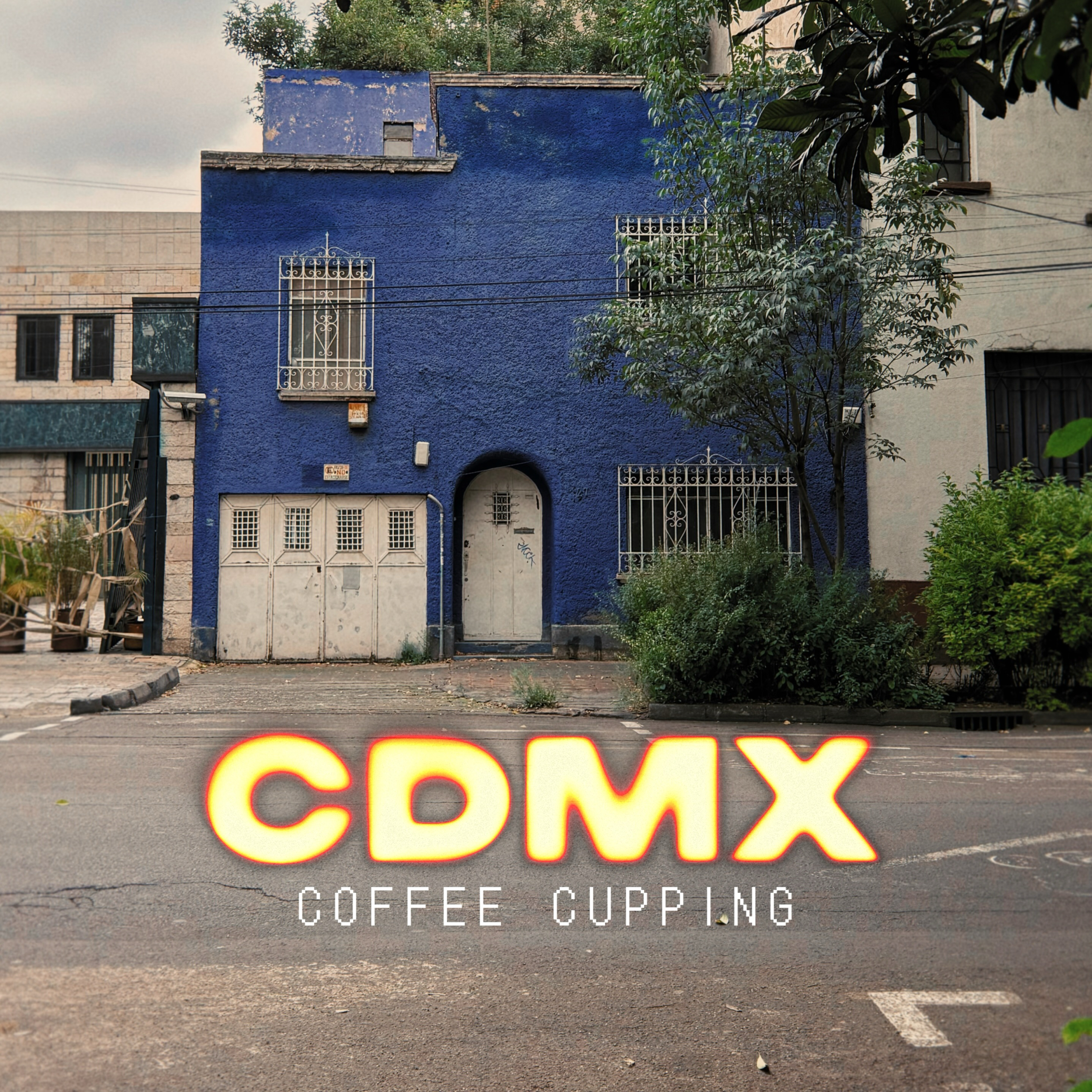 CDMX Coffee Roaster Cupping