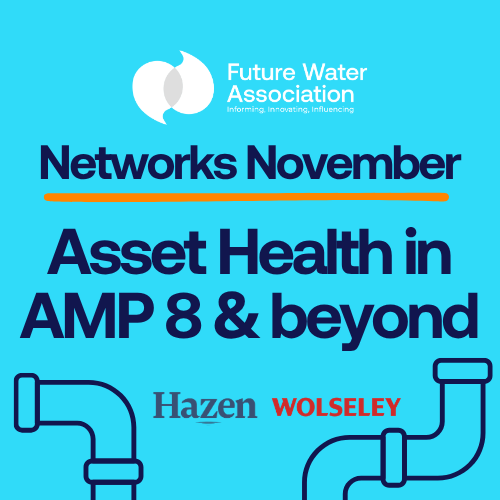 Networks November: Asset Health in AMP8 & Beyond
