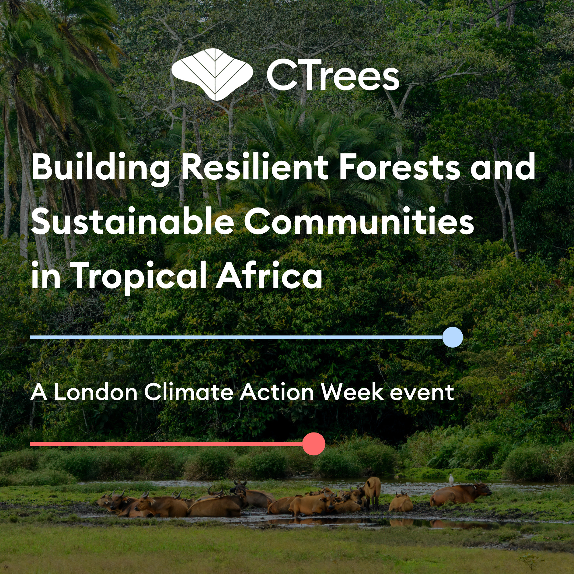 Cover art for #Building Resilient Forests and Sustainable Communities in Tropical Africa — London, England