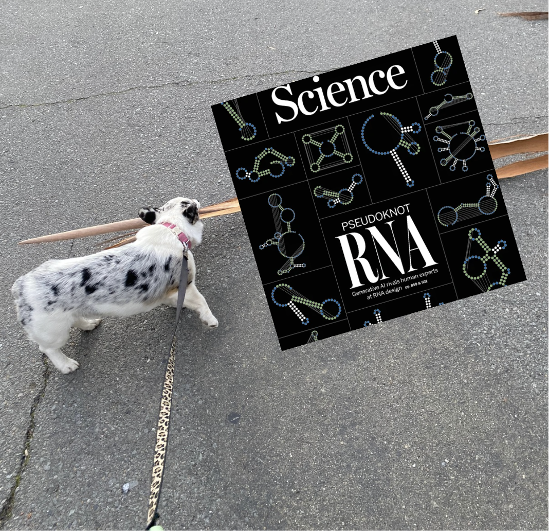 Denoising the Noise BioML Journal Club - De novo design of RNA pseudoknots with deep learning
