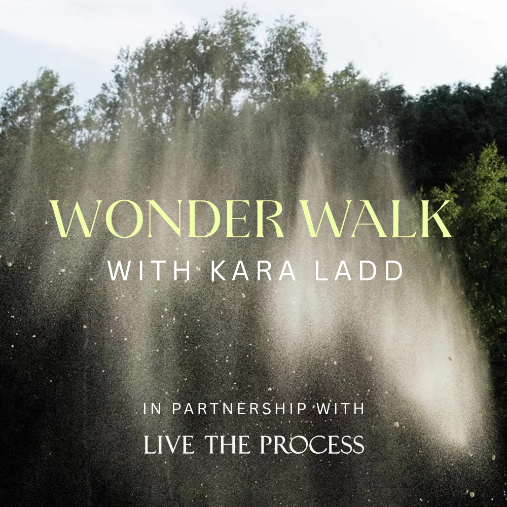 Cover art for #2ND HOUSE x Live The Process | WONDER WALK — DUMBO