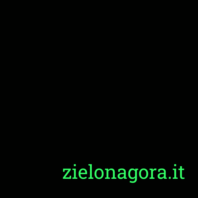zielonagora.IT #0: "Утренний цикл, или как я научил агента работать на меня."