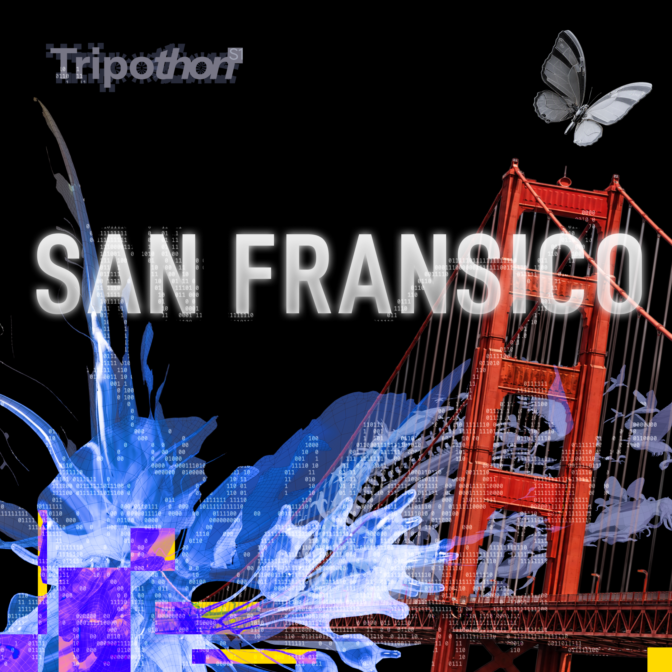Dzień Demonstracyjny Budowania Świata Tripothon S1 @San Francisco