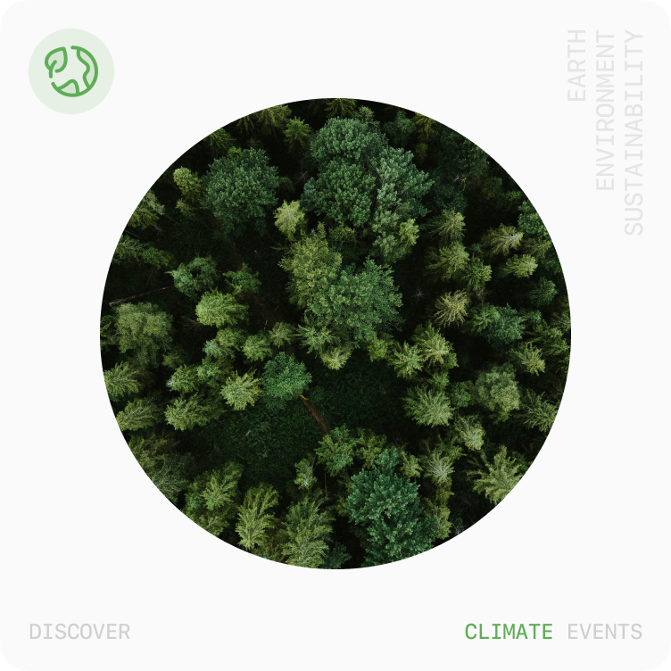 Cover image for category