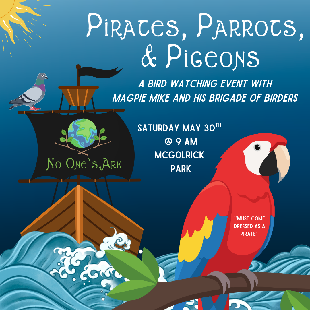 Cover art for #Pirates, Parrots, & Pigeons: A Birdwatching Parley — Msgr. McGolrick Park