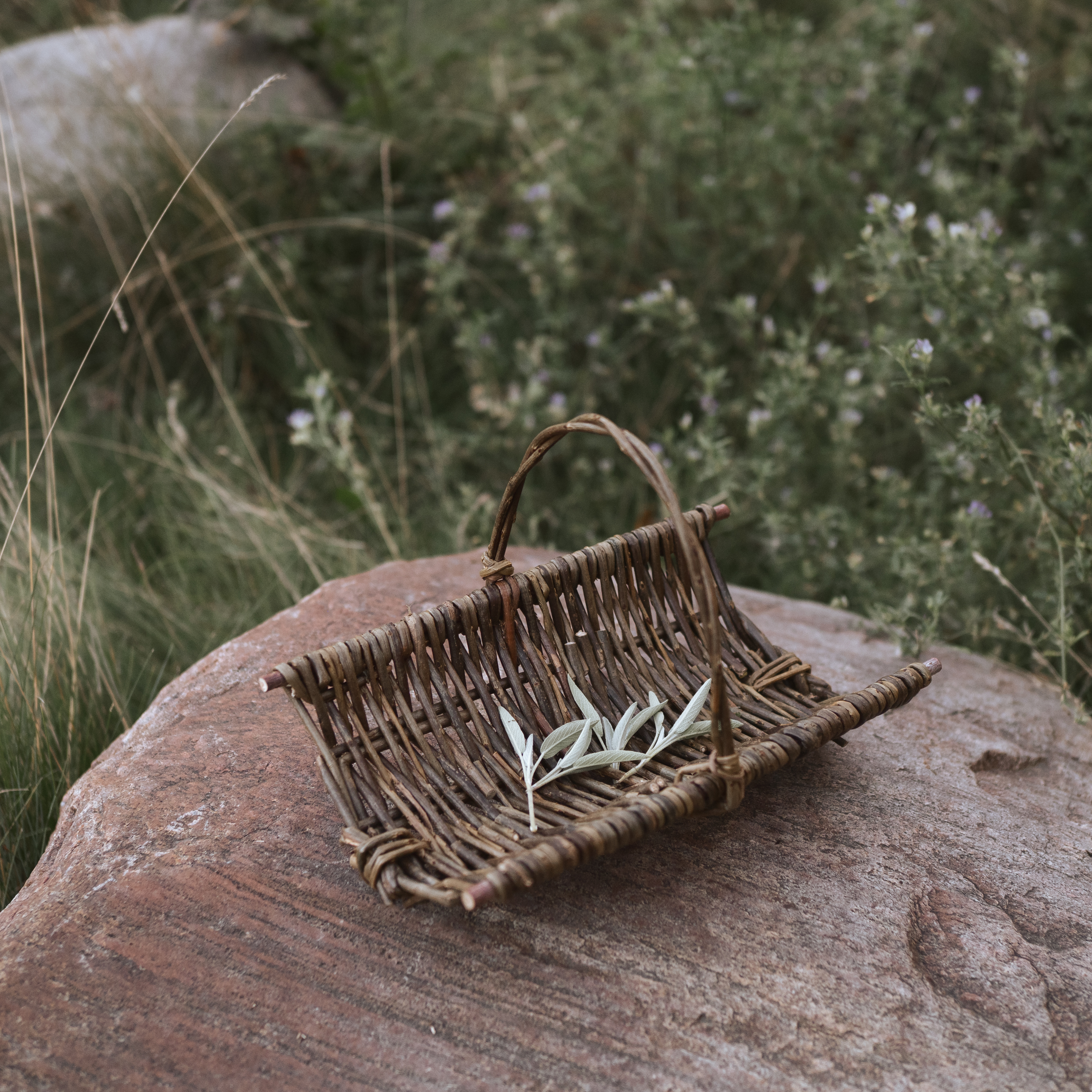 Tiny Trug