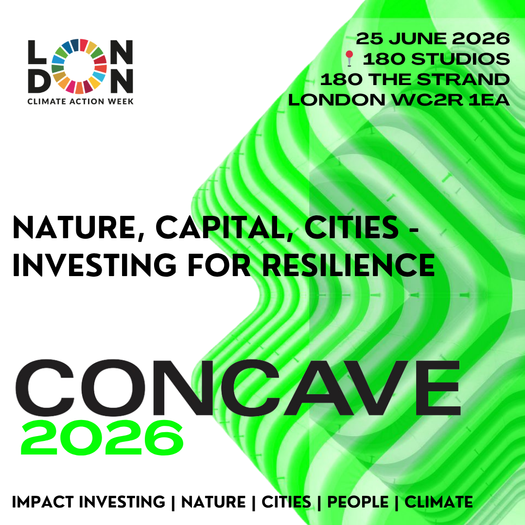 Nature, Capital, Cities - Investing for Resilience