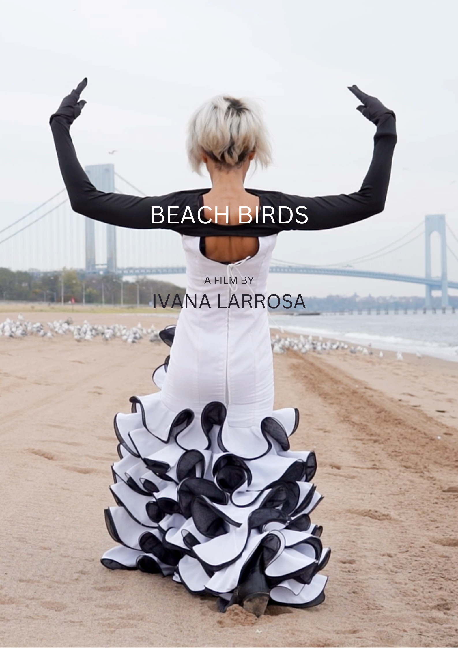 Cover art for #Beach Birds Film + Director Q&A — Governors Island