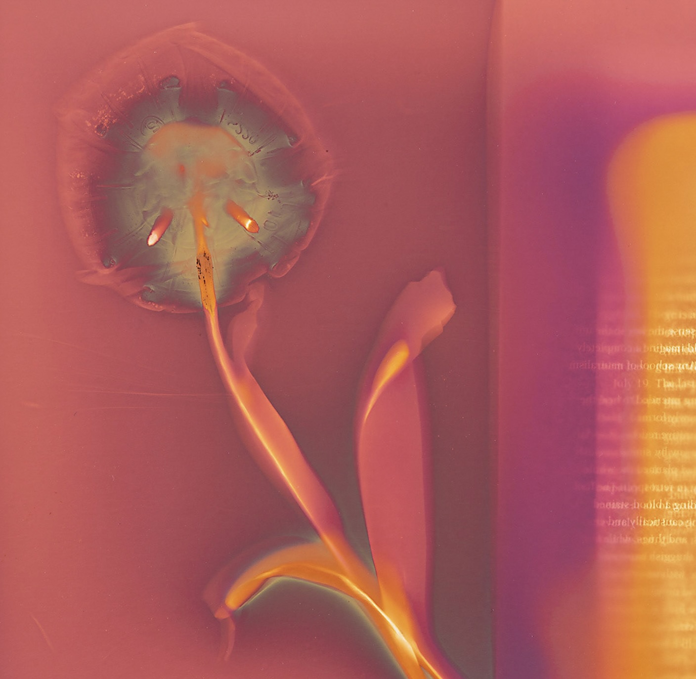 Cover art for #Local Economy Art: Francis Baker on Beauty and the Anthropocene — Local Economy