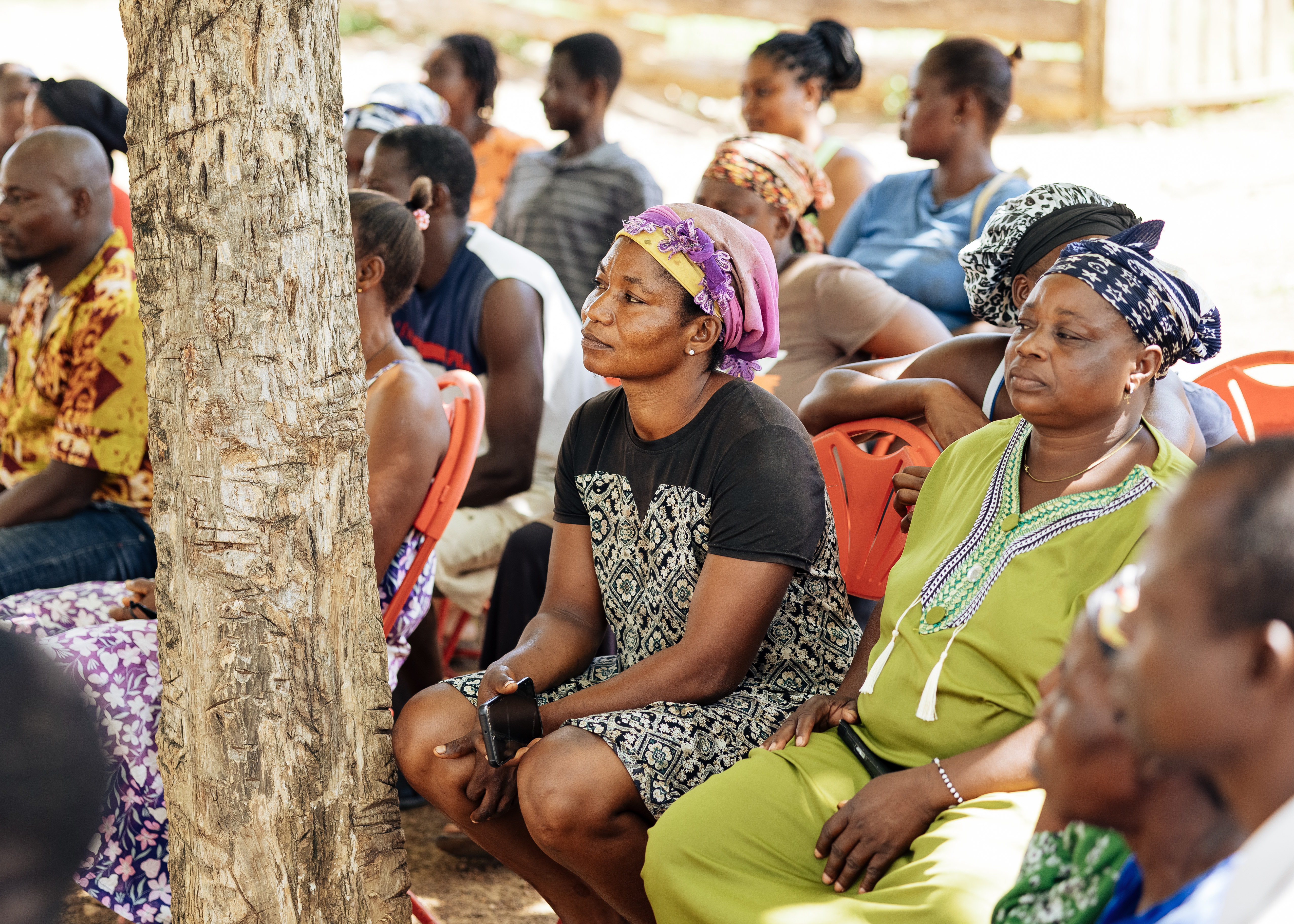 Cover art for #Partnering for Impact: Forest Protection and Sustainable Livelihoods in Ghana — Sustainable Ventures