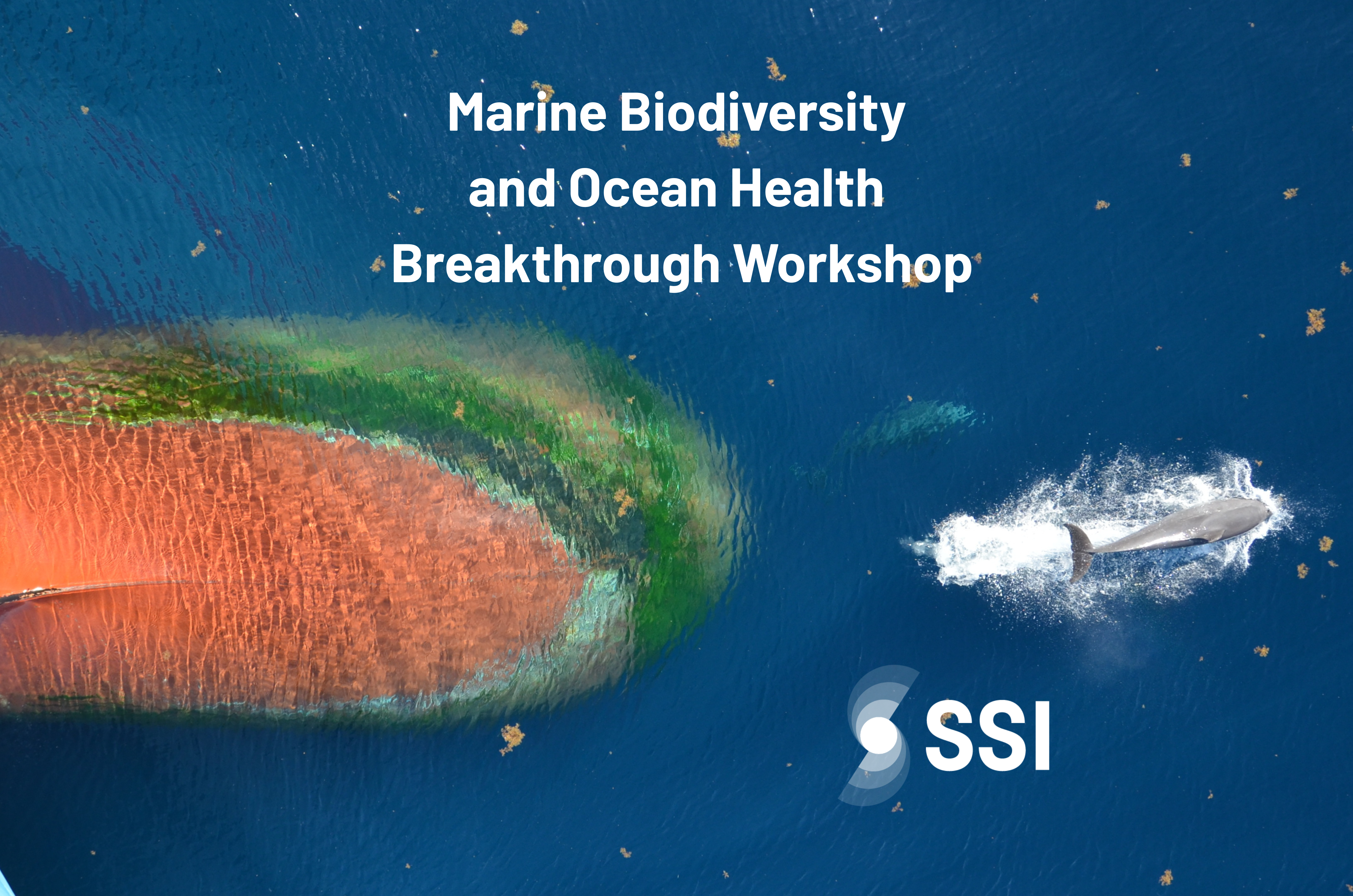 Marine Biodiversity and Ocean Health Breakthrough Workshop