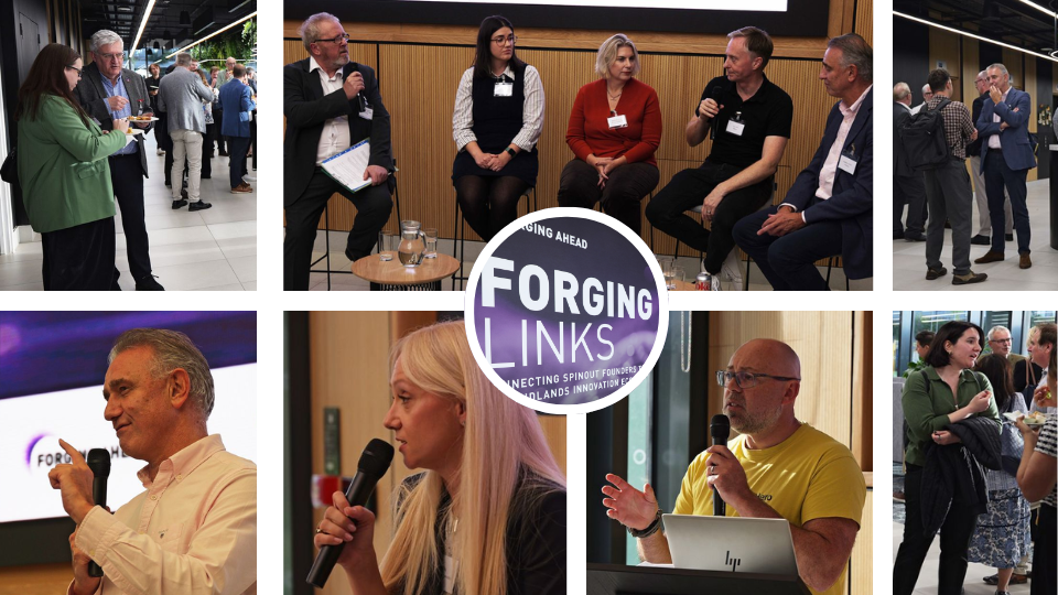 Forging Links November Meetup
