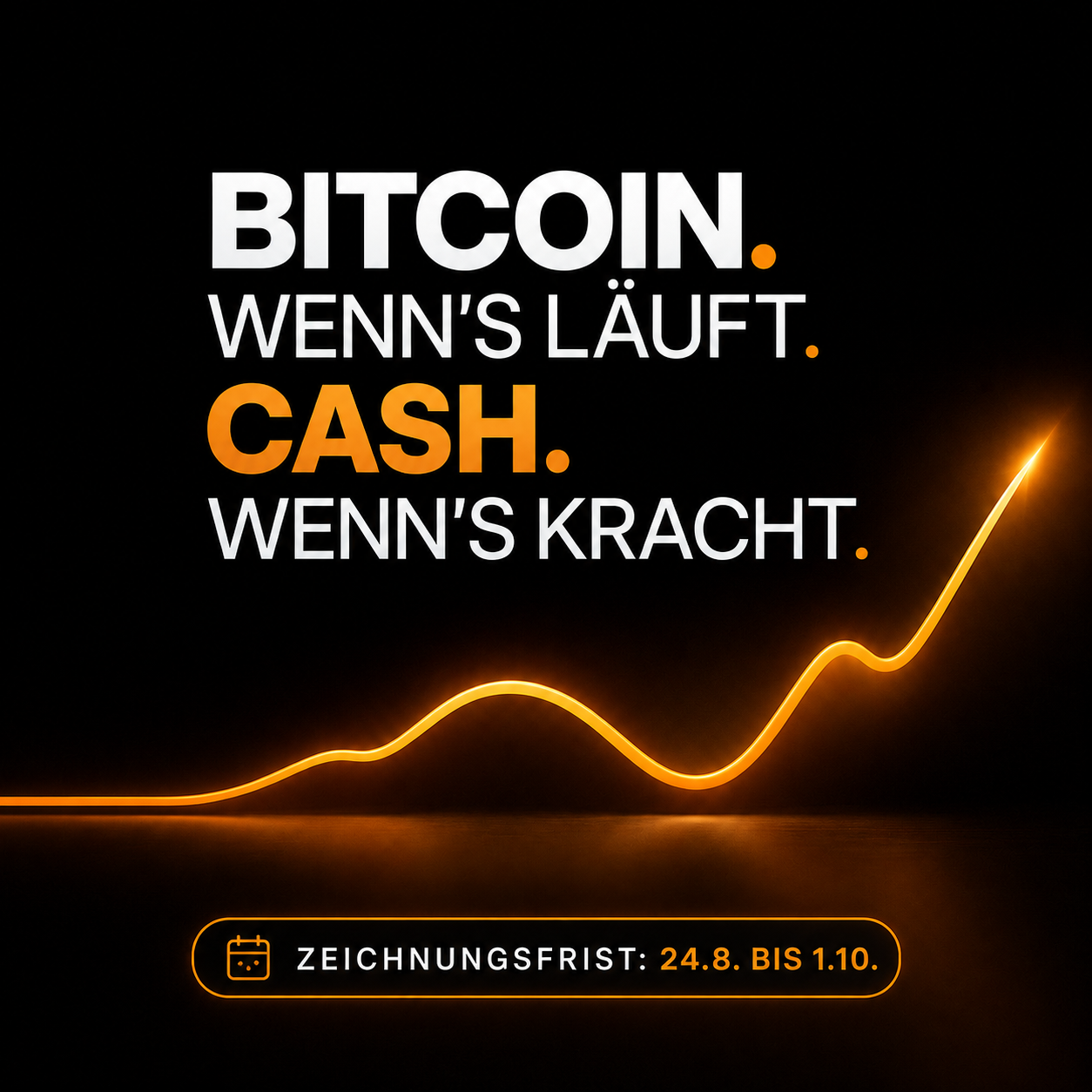 BTCAI: Bitcoin, wenn es funktioniert. Bargeld, wenn es zusammenbricht