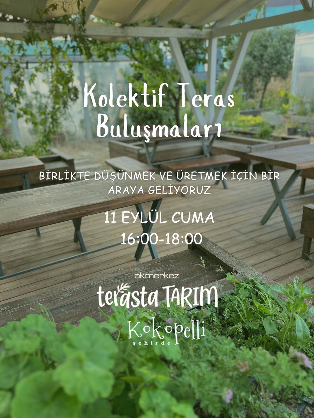 Коллективные встречи на террасе
