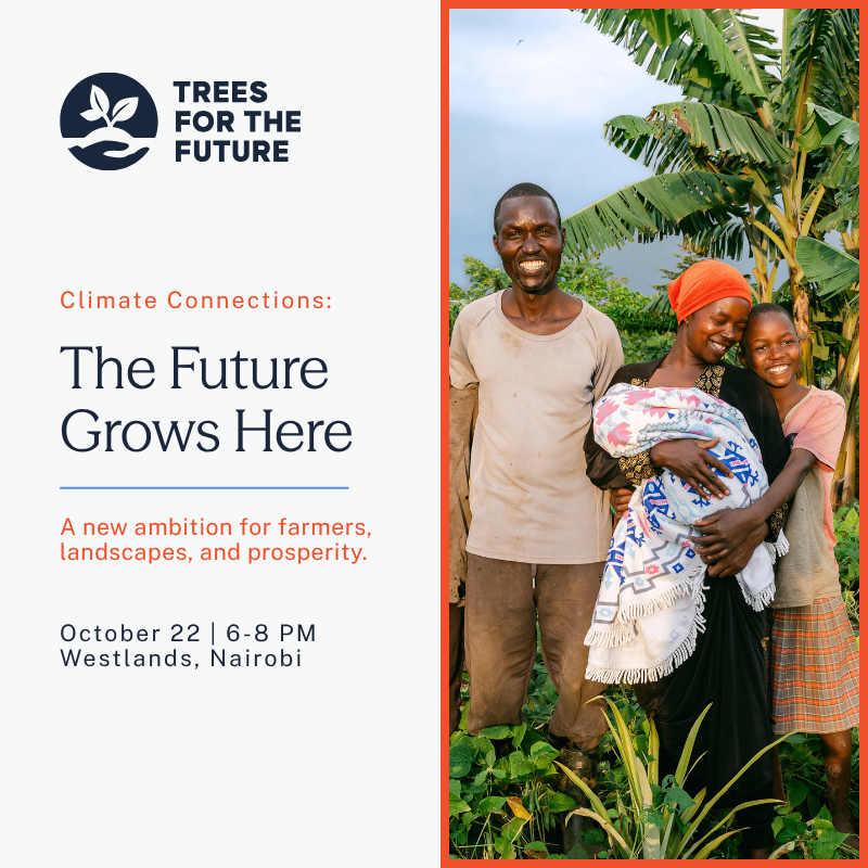 Climate Connections: A Rooftop Evening in Westlands