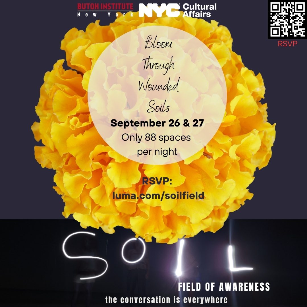 Soil:Field of Awareness