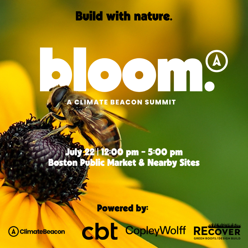 Bloom: Build with nature.