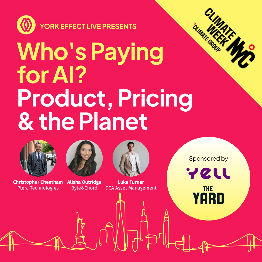 Who's Paying for AI? Product, Pricing & the Planet