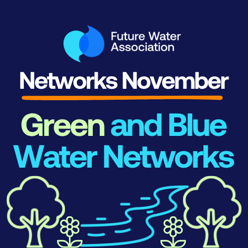 Networks November: Green and Blue Water Networks
