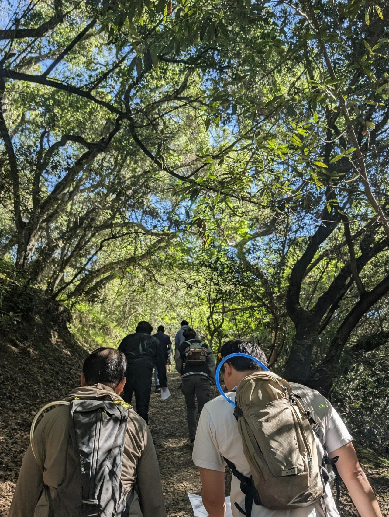 Cover art for #Leadership Hike - Elevate Community Solutions — Hayward, CA