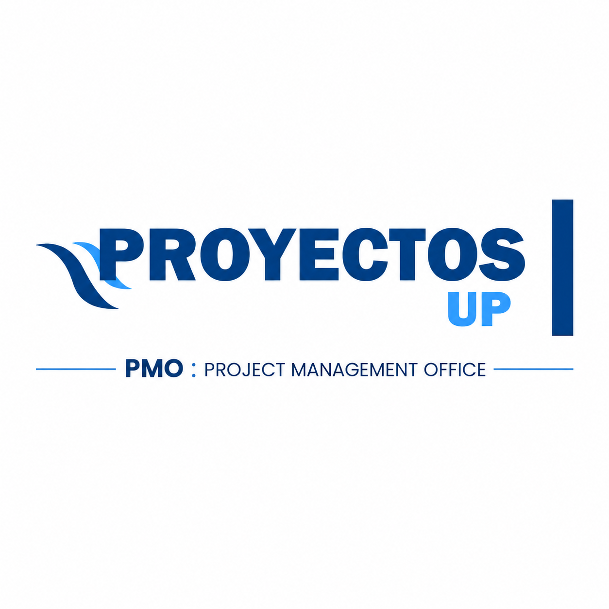 PMO project management office