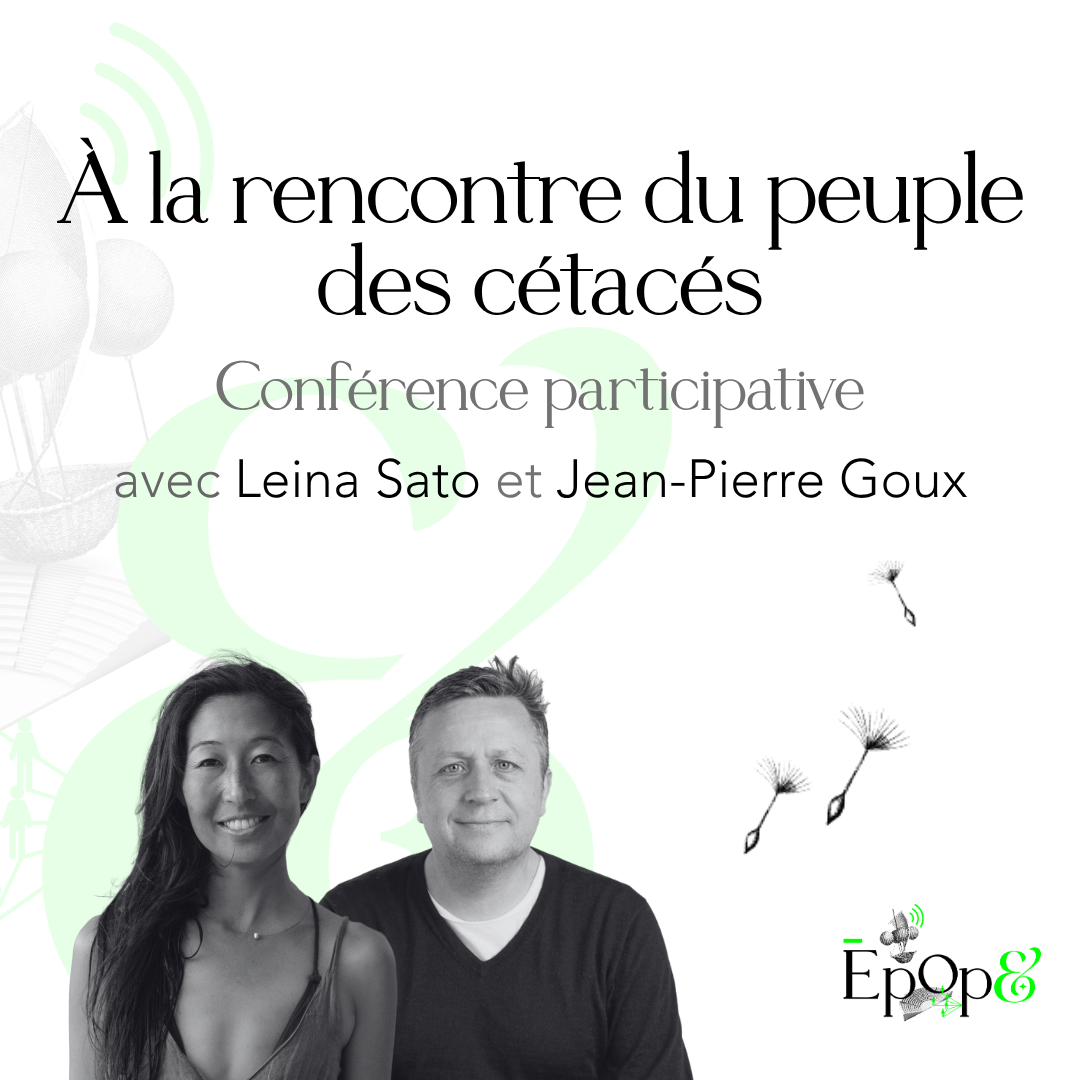 Conférence participative Epop& - À la rencontre du peuple des cétacés