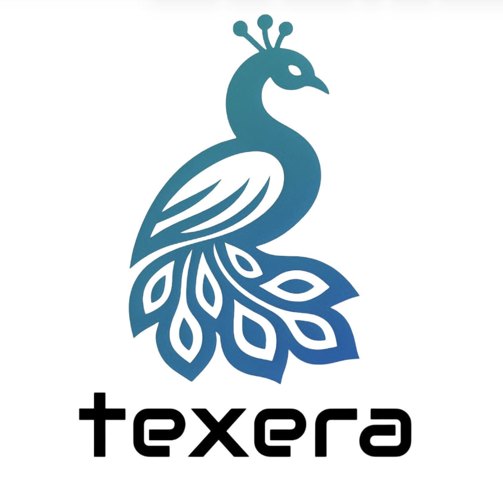 NSF BRIDGE & Apache Texera Meetup