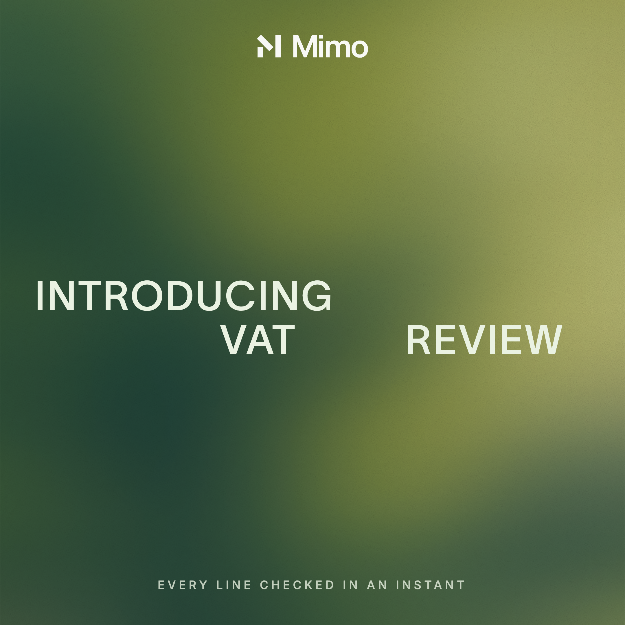 Mimo Demo: VAT Review done in minutes