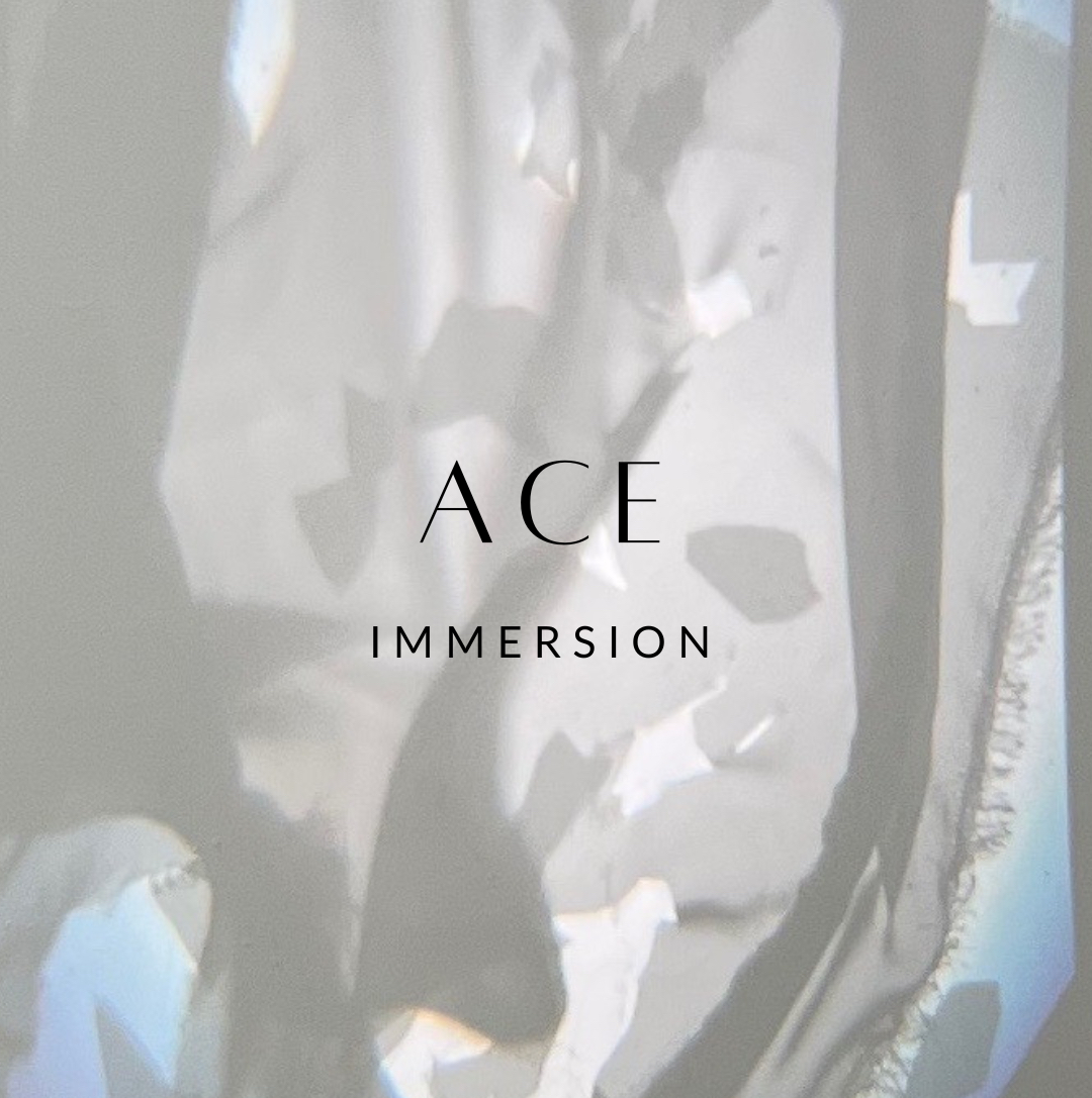 ACE IMMERSION EXHIBITION