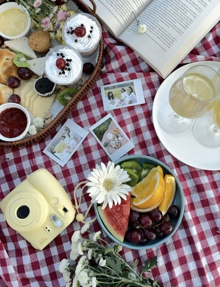 Women in AI Ethics & Safety Summer Picnic!