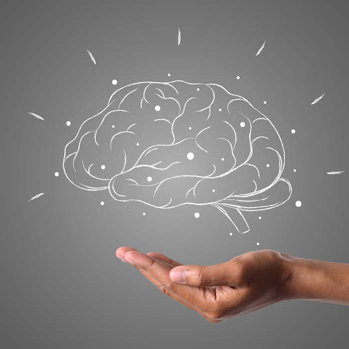 Lezione introduttiva | Il Cervello: istruzioni per l'uso 🧠