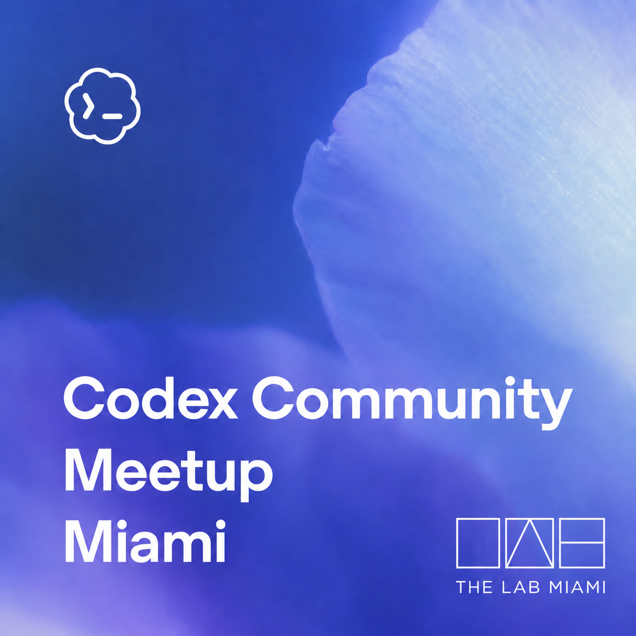 Codex Community Meetup – Miami